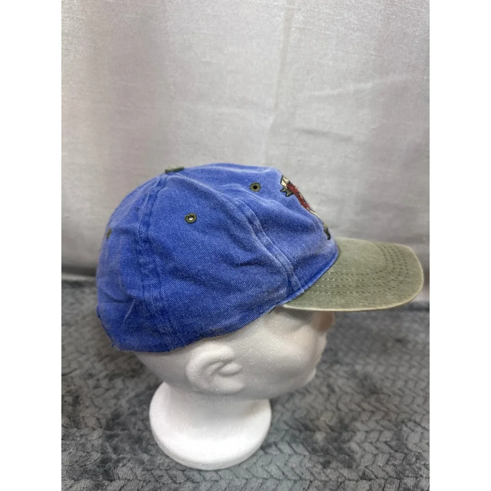 Vintage‎ 1995 Looney Tunes Taz Master of Disaster Blue Green Snapback Hat Kids